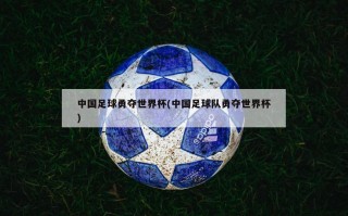 中国足球勇夺世界杯(中国足球队勇夺世界杯)