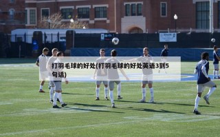 打羽毛球的好处(打羽毛球的好处英语3到5句话)