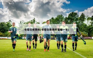 卡塔尔世界杯(卡塔尔世界杯是哪一年)
