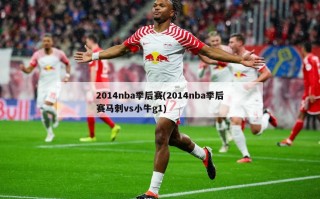 2014nba季后赛(2014nba季后赛马刺vs小牛g1)
