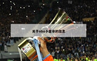 关于nba小皇帝的信息