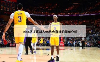 nba总决赛湖人vs热火直播的简单介绍