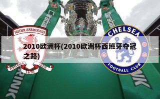 2010欧洲杯(2010欧洲杯西班牙夺冠之路)