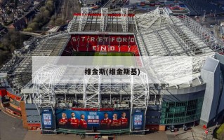 维金斯(维金斯基)