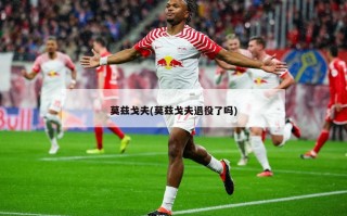 莫兹戈夫(莫兹戈夫退役了吗)