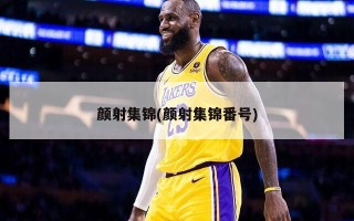 颜射集锦(颜射集锦番号)