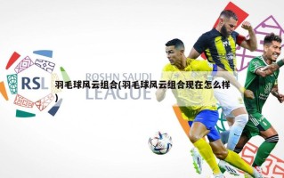羽毛球风云组合(羽毛球风云组合现在怎么样)