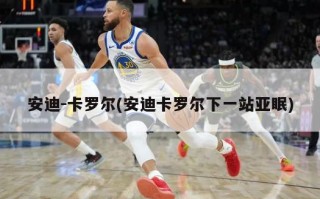 安迪-卡罗尔(安迪卡罗尔下一站亚眠)