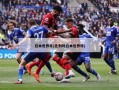 日本世界杯(比利时日本世界杯)