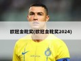 欧冠金靴奖(欧冠金靴奖2024)