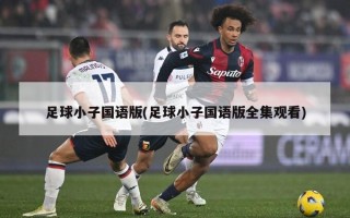 足球小子国语版(足球小子国语版全集观看)