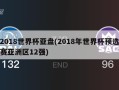 2018世界杯亚盘(2018年世界杯预选赛亚洲区12强)