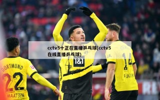 cctv5十正在直播乒乓球(cctv5 在线直播乒乓球)