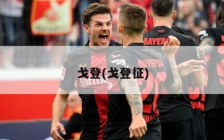 戈登(戈登征)