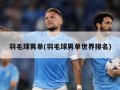羽毛球男单(羽毛球男单世界排名)