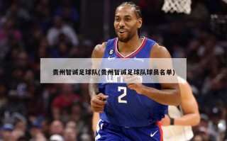 贵州智诚足球队(贵州智诚足球队球员名单)