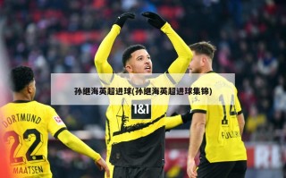 孙继海英超进球(孙继海英超进球集锦)