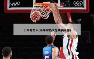 小牛对热火(小牛对热火总决赛录像)