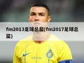 fm2013足球总监(fm2017足球总监)