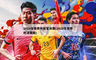 2018年世界杯冠军决赛(2018年世界杯决赛圈)