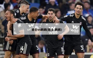 骑士vs鹈鹕(骑士 鹈鹕)