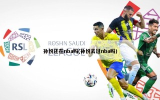 孙悦还在nba吗(孙悦去过nba吗)