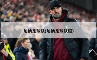 加纳足球队(加纳足球队服)