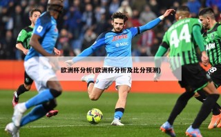 欧洲杯分析(欧洲杯分析及比分预测)
