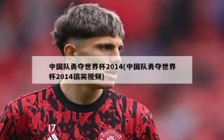中国队勇夺世界杯2014(中国队勇夺世界杯2014搞笑视频)