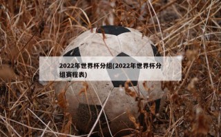 2022年世界杯分组(2022年世界杯分组赛程表)