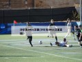 沙尔克04vs汉堡(沙尔克04vs汉堡直播)