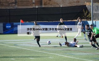 沙尔克04vs汉堡(沙尔克04vs汉堡直播)