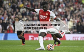 cctv5欧洲杯在线直播(cctv5欧洲杯在线直播在哪里看)