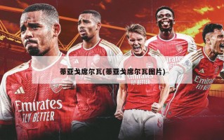 蒂亚戈席尔瓦(蒂亚戈席尔瓦图片)