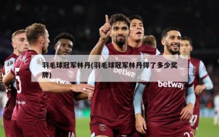 羽毛球冠军林丹(羽毛球冠军林丹得了多少奖牌)