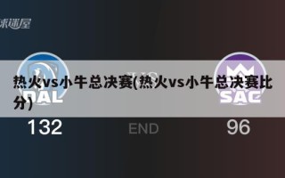 热火vs小牛总决赛(热火vs小牛总决赛比分)