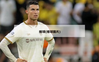 排球(排球图片)