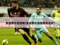 鲁迪费尔南德斯(鲁迪费尔南德斯奥运会)