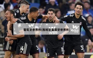 葡萄牙世界杯(西班牙葡萄牙世界杯)