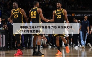中国队无缘2022世界杯了吗(中国队无缘2022年世界杯)