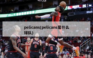 pelicans(pelicans是什么球队)
