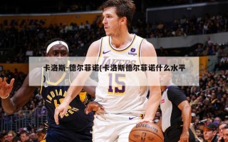 卡洛斯-德尔菲诺(卡洛斯德尔菲诺什么水平)