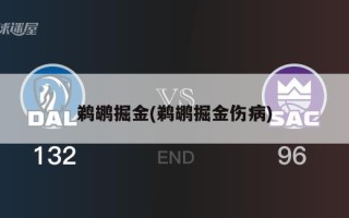 鹈鹕掘金(鹈鹕掘金伤病)