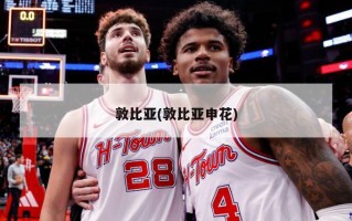 敦比亚(敦比亚申花)