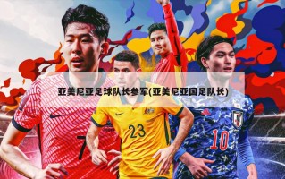 亚美尼亚足球队长参军(亚美尼亚国足队长)
