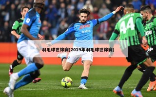 羽毛球世锦赛(2019年羽毛球世锦赛)