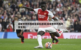 南非世界杯西班牙首粒进球(南非世界杯西班牙首发)