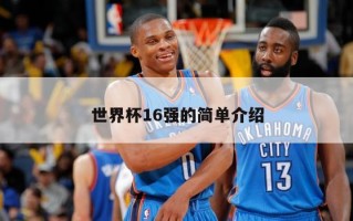 世界杯16强的简单介绍