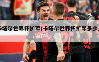 卡塔尔世界杯扩军(卡塔尔世界杯扩军多少人)