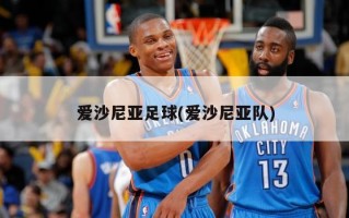 爱沙尼亚足球(爱沙尼亚队)